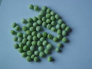 凍干豌豆 自然營養的定格，北綠凍干食品有限公司為您呈現